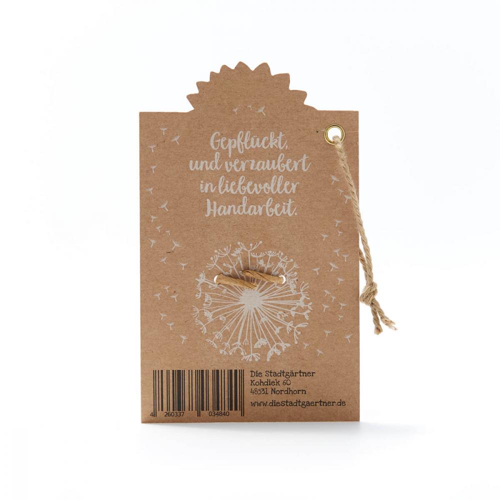 Wunscherfüller, klein