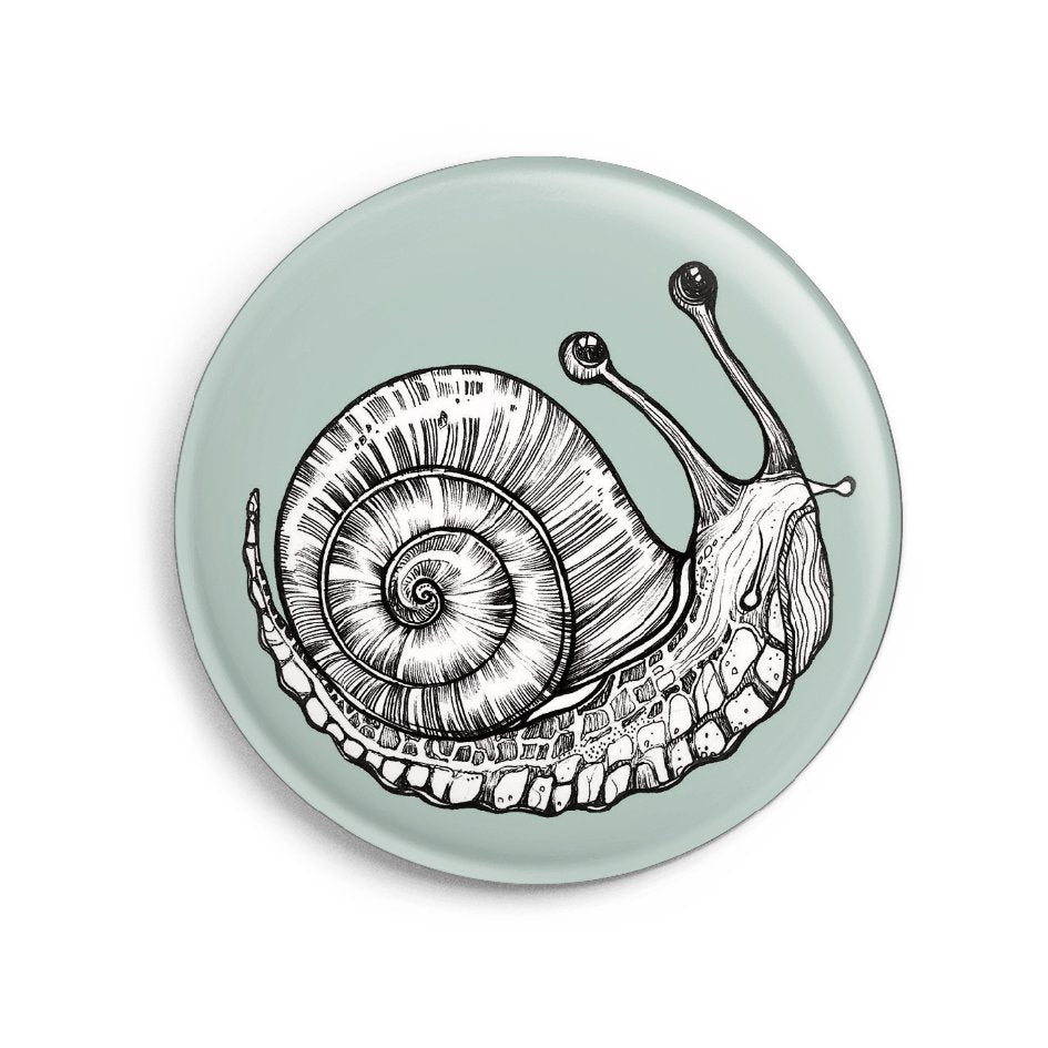 Magnete von Ligarti
